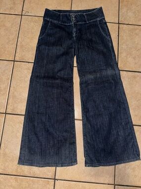 Hudson Jeans Wide Leg Dark Blue Denim